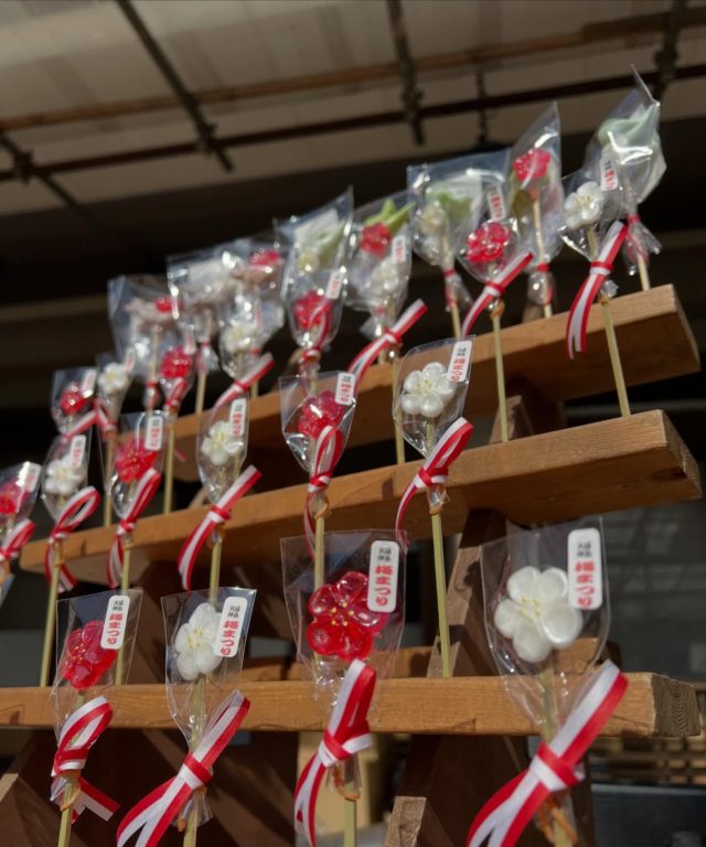 あめ細工 吉原 / AMEZAIKU YOSHIHARA - 石井 美桜 / Mio Ishii